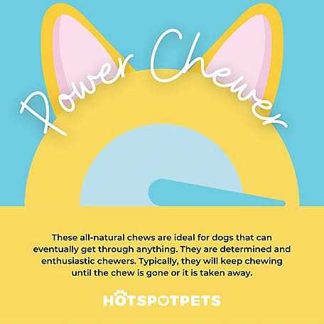 Hotspot Pets All Natural Whole Deer Antler Dog Chew Treats - Nail Gallerys