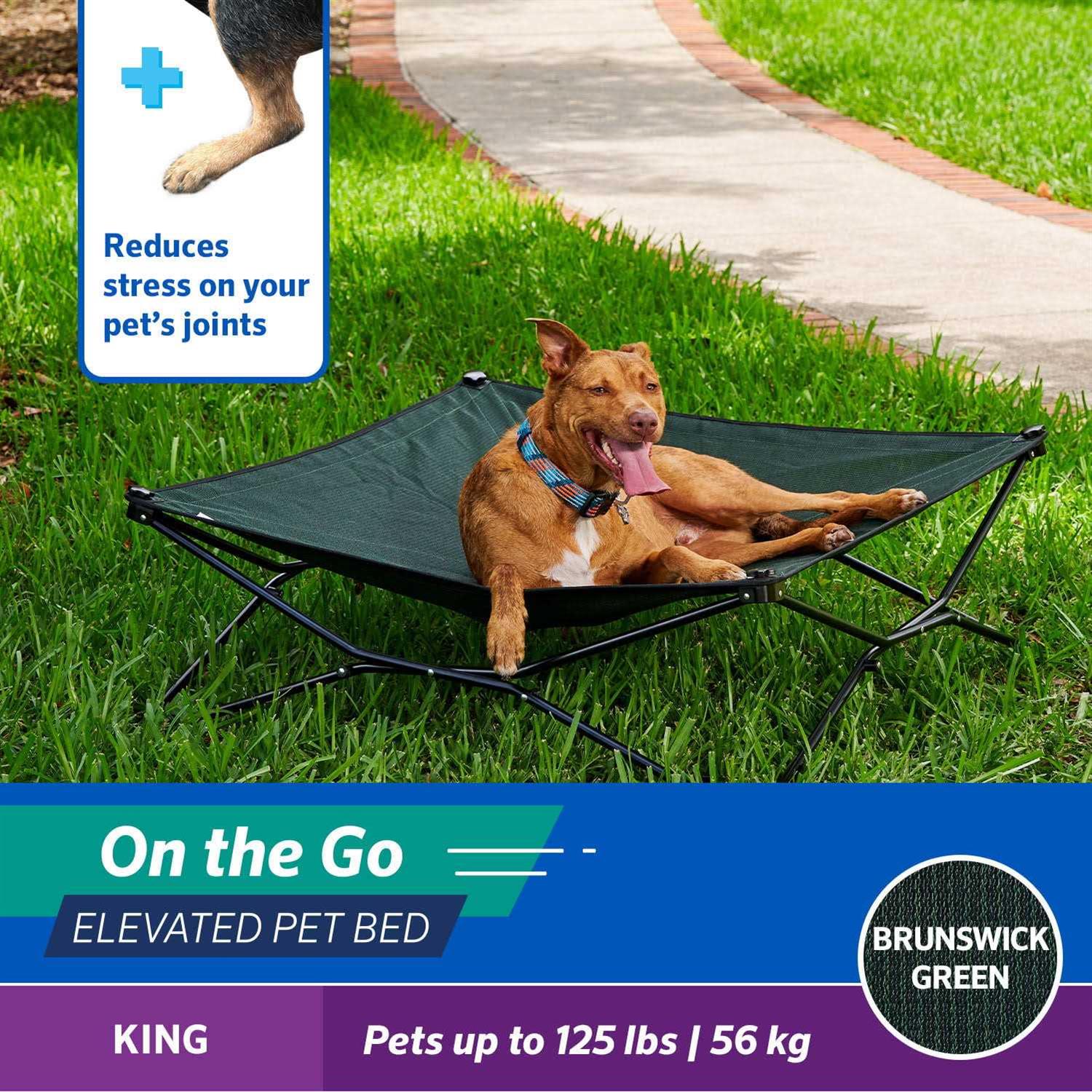 Coolaroo On-the-Go Elevated Pet Bed - Nail Gallerys