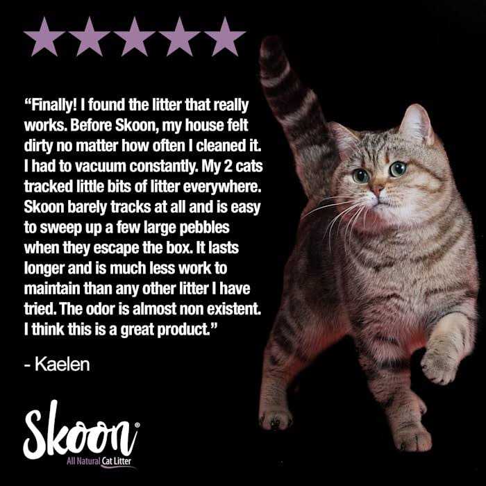 Skoon All-Natural Cat Litter Light-Weight, Non-Clumping, Low Maintenance, Eco-Friendly - Nail Gallerys