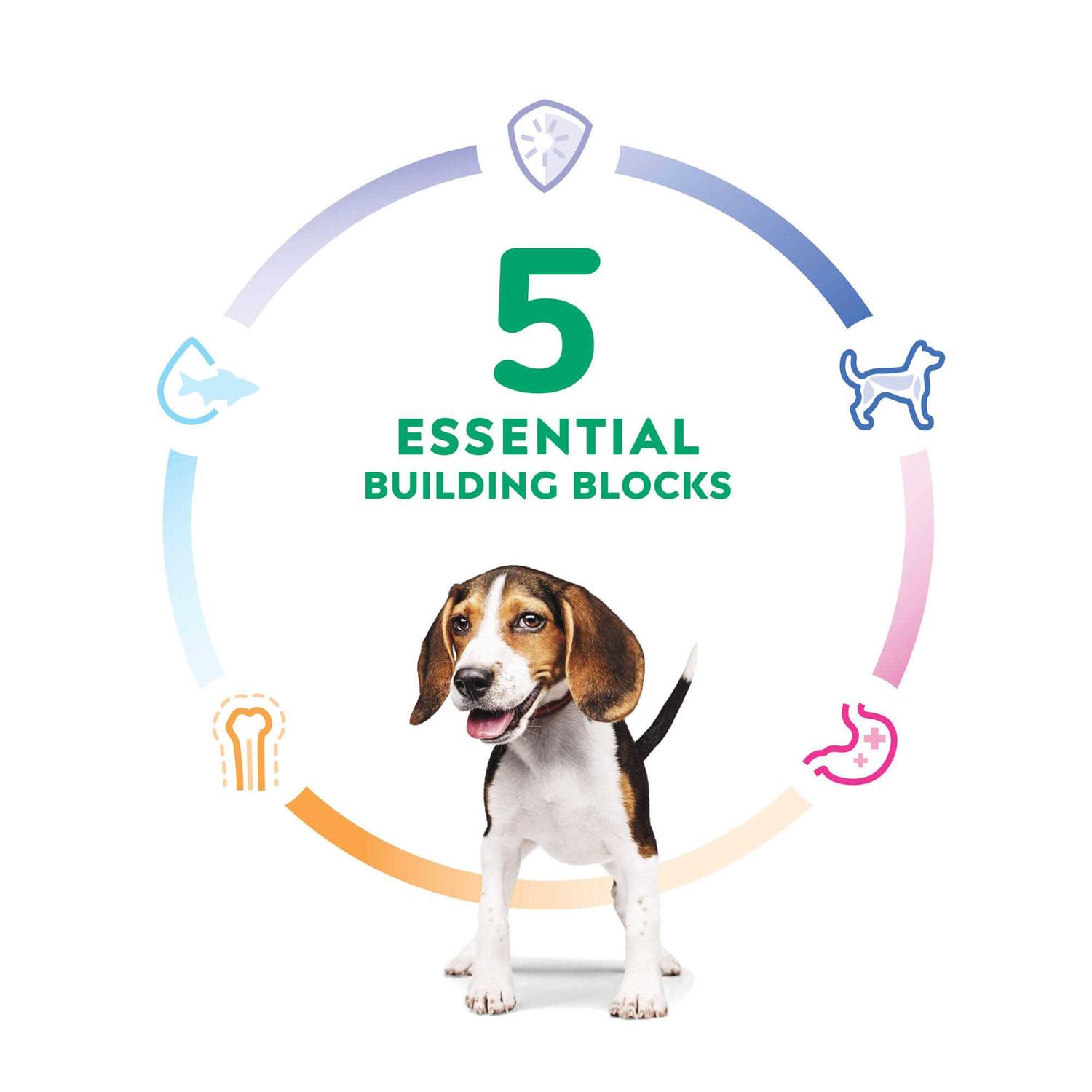 Hill’s Science Diet Puppy Lamb Meal & Brown Rice Recipe Dry Dog Food - Nail Gallerys