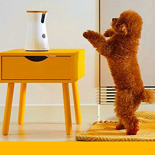 Furbo Dog Camera - Nail Gallerys