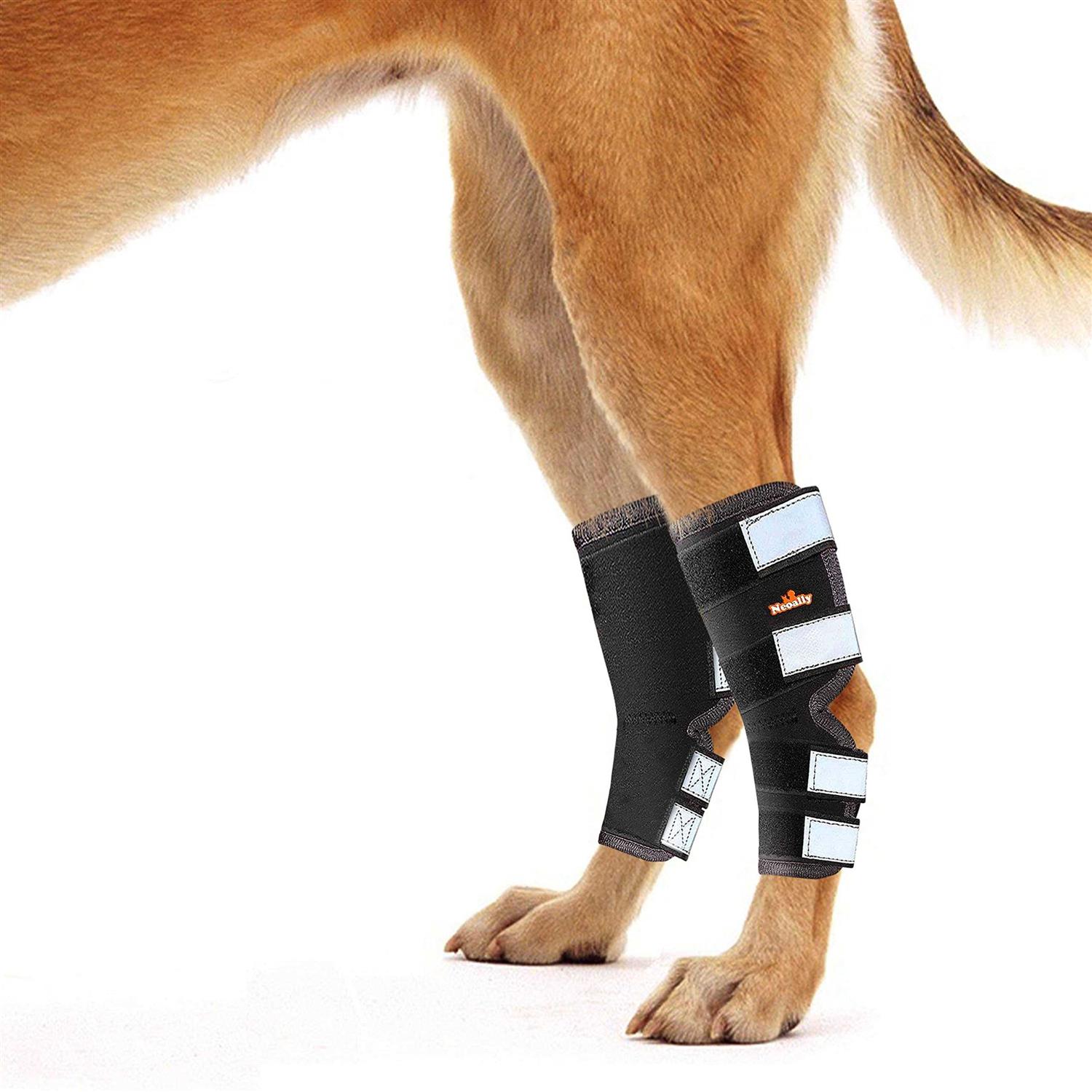 Neoally Dog Hind Leg Brace Canine Rear Leg Support with Safety Reflective Straps for Joint Injury - Nail Gallerys