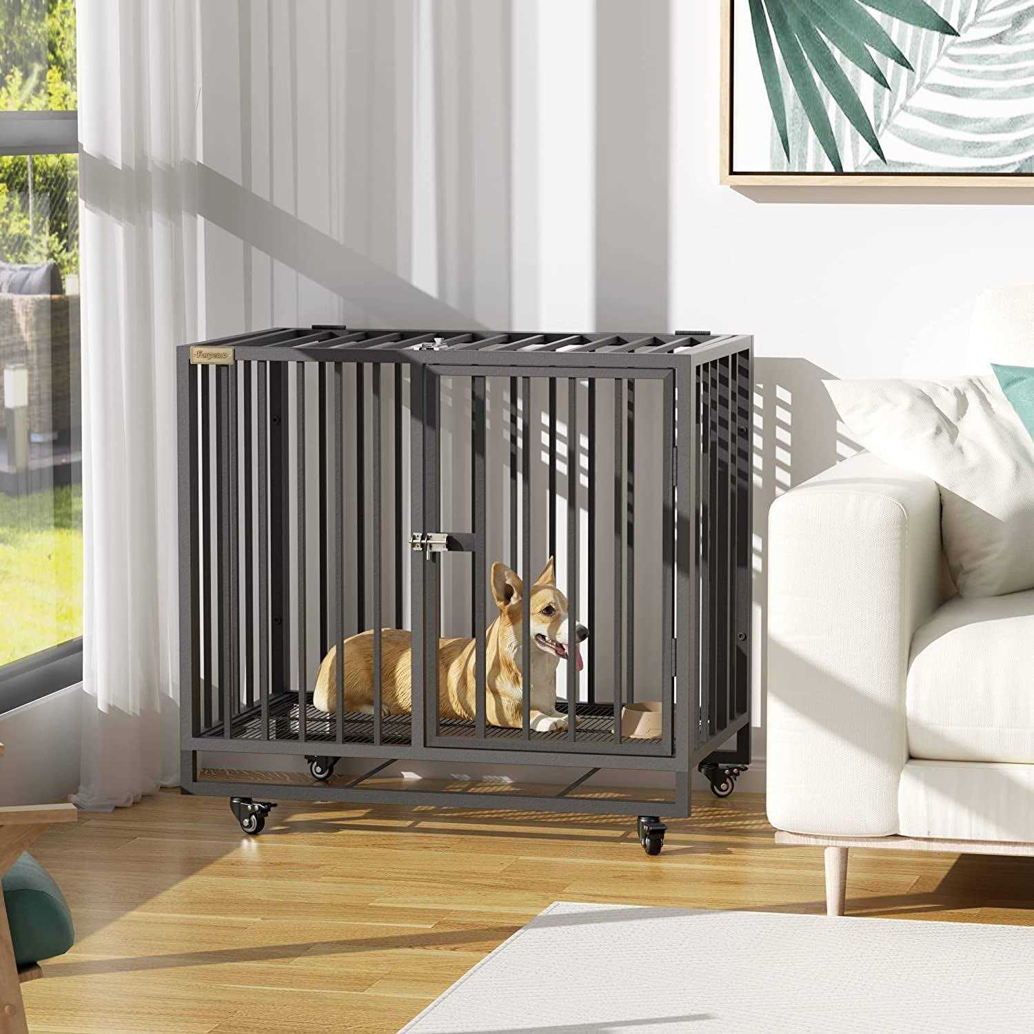 Furpezoo Dog Crate Heavy Duty Strong Steel Dog Cage Medium Dog Kennel with 4 Wheels - Nail Gallerys