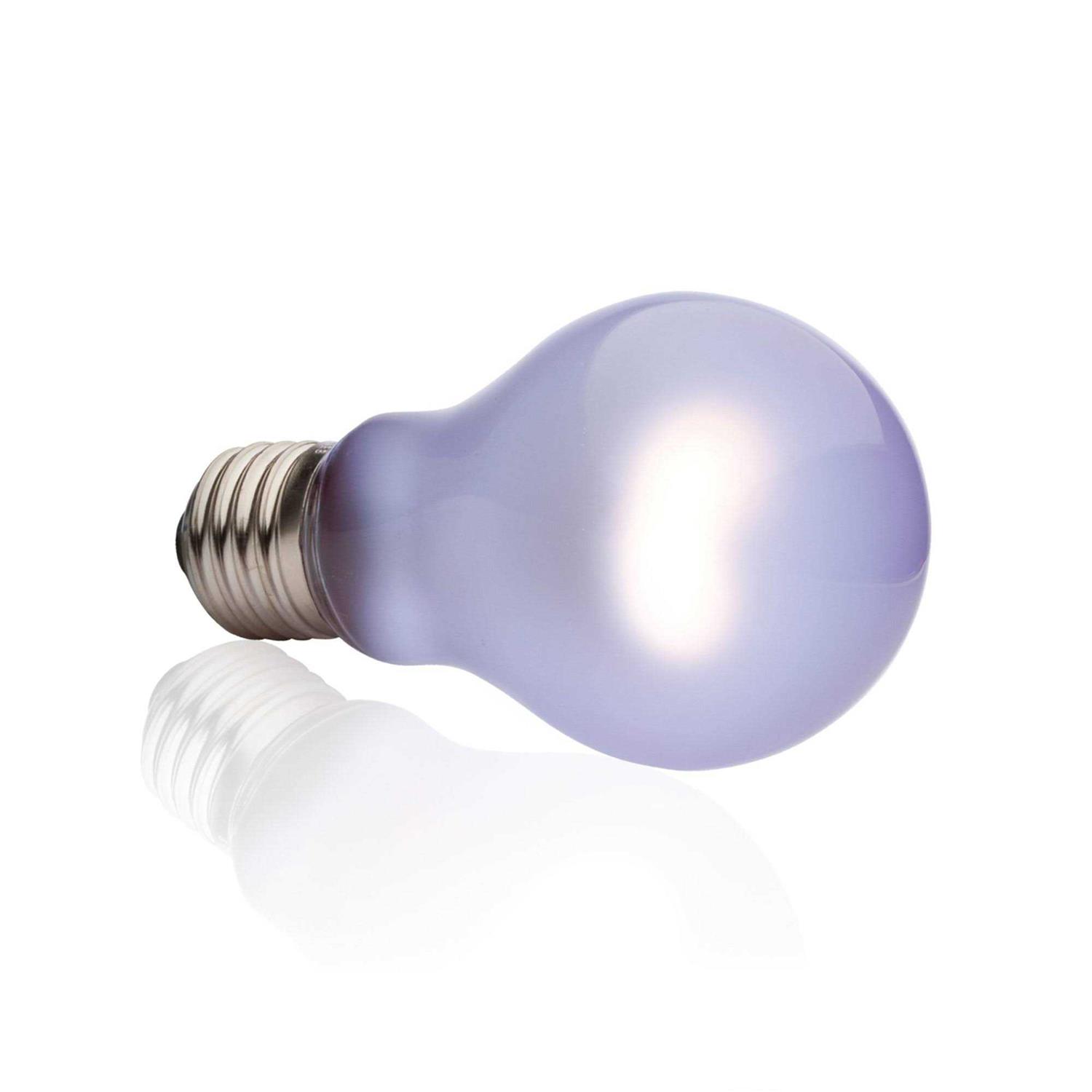 Exo Terra Daytime Heat Lamp - Nail Gallerys