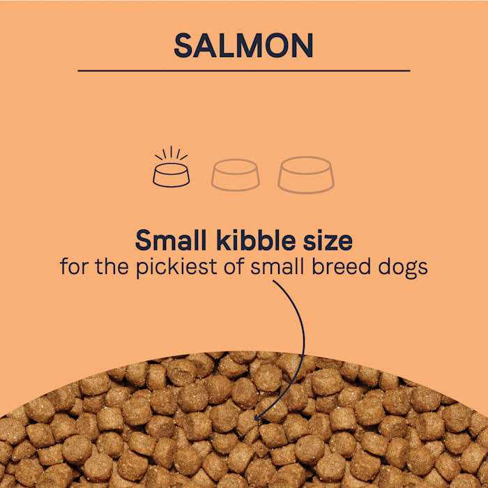 Canidae Pure Petite Small Breed Salmon Dry Dog Food - Nail Gallerys