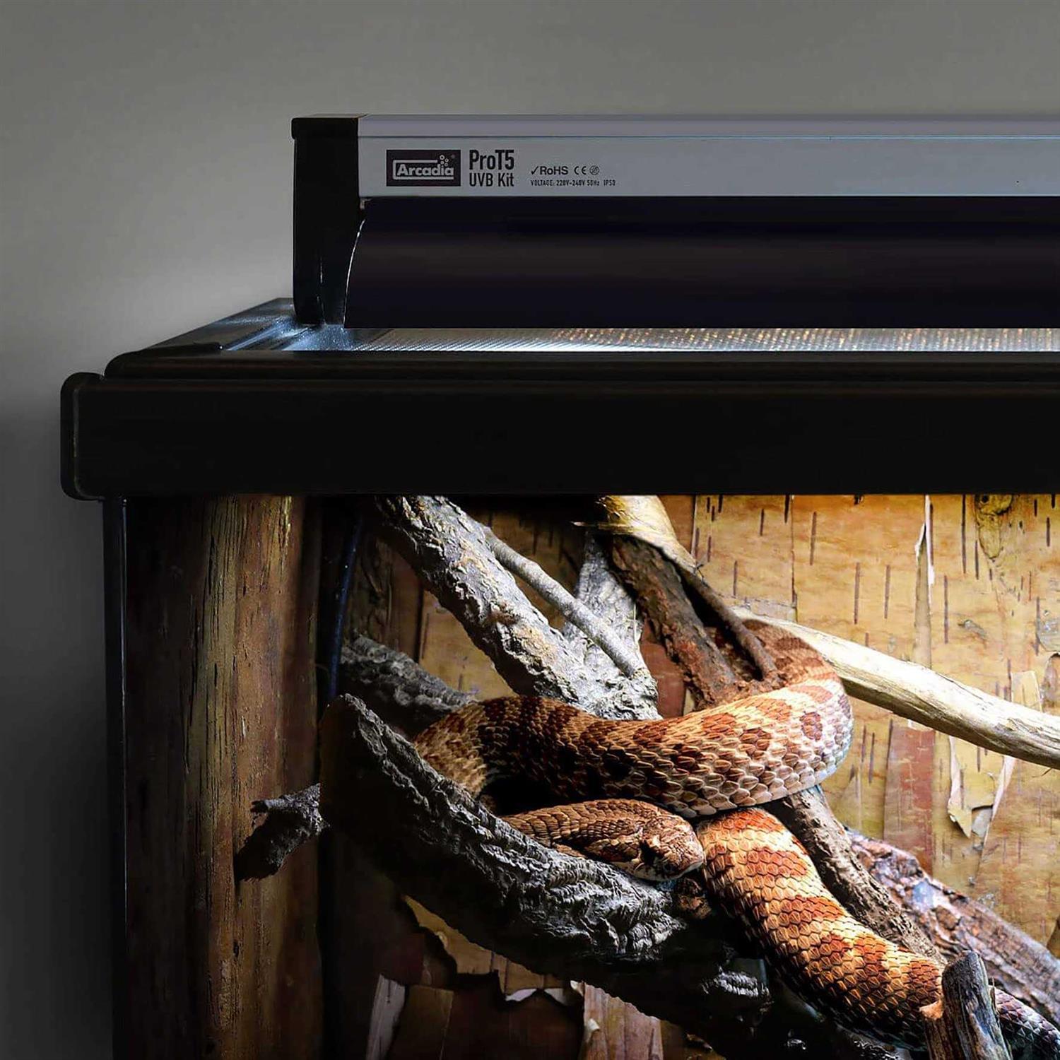 Arcadia Reptile Pro T5 Forest 6% UVB 24 inch Lighting Kit for Reptiles - Nail Gallerys