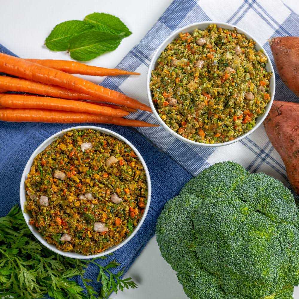 Dr. Harvey’s Specialty Diet Allergy Salmon Recipe, Human Grade Dog Food for Dogs with Sensitivities and Allergies - Nail Gallerys