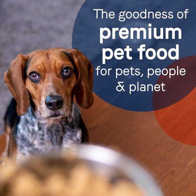 Canidae Grain-Free Pure Limited Ingredient Salmon & Sweet Potato Recipe Canned Dog Food - Nail Gallerys