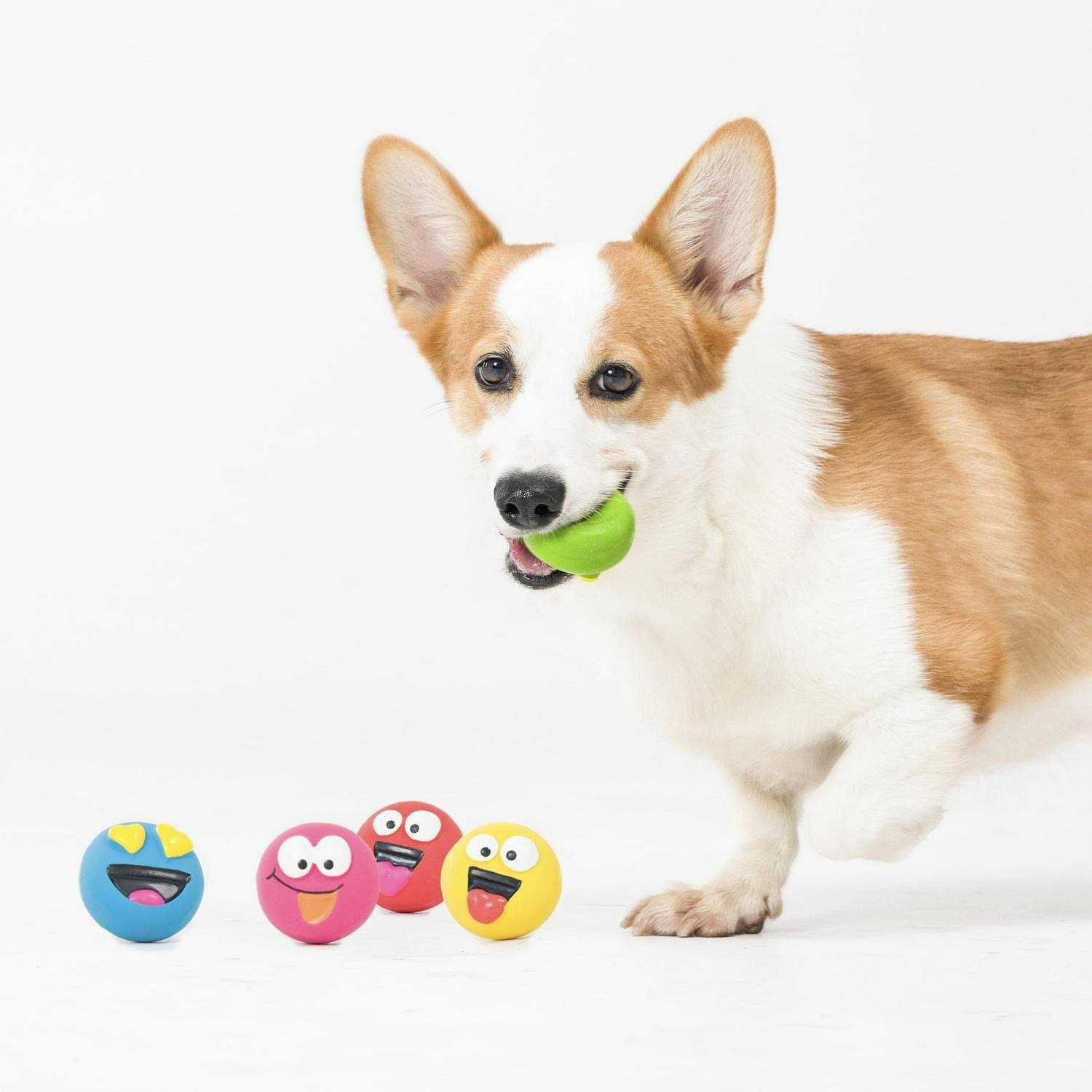 Vibrant Life Playful Buddy Dog Toys - Nail Gallerys