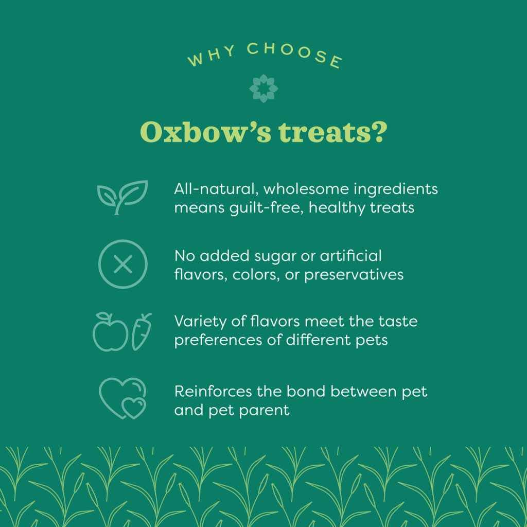 Oxbow Simple Rewards Strawberry Treats - Nail Gallerys