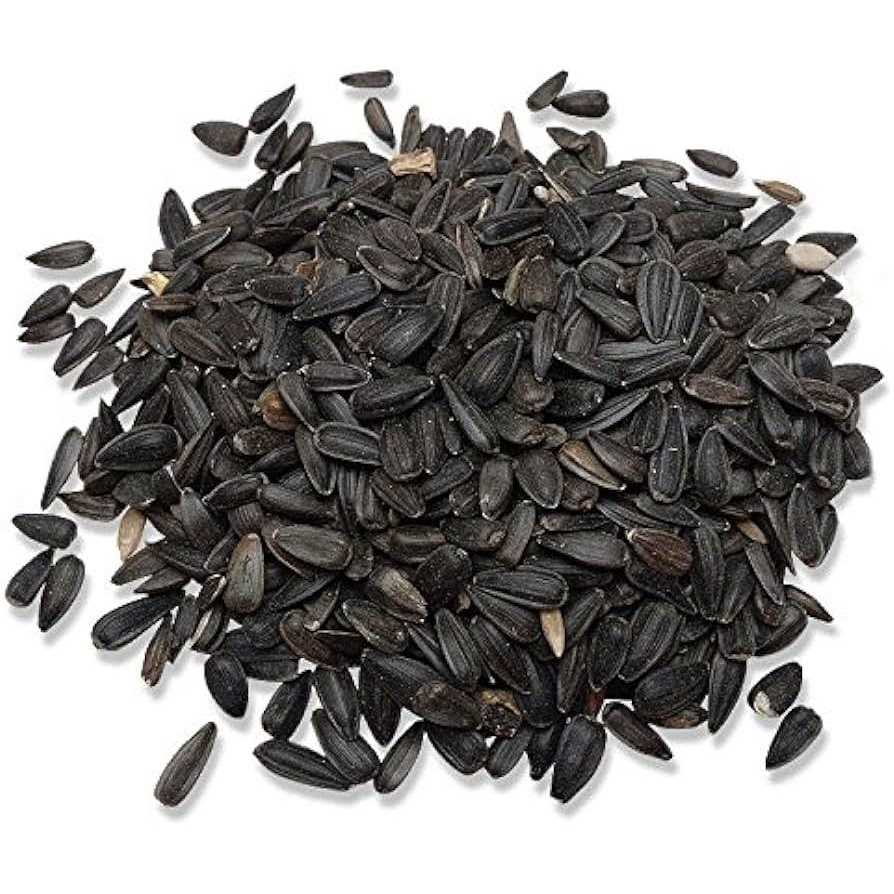 Audubon Park Black Oil Sunflower Seed Wild Bird Food 12259 - Nail Gallerys