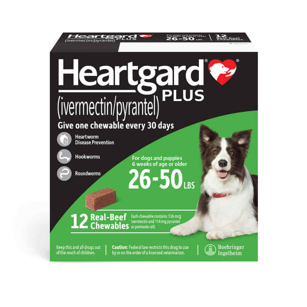 Rx Heartgard Plus for Dogs, 12 Chews - Nail Gallerys