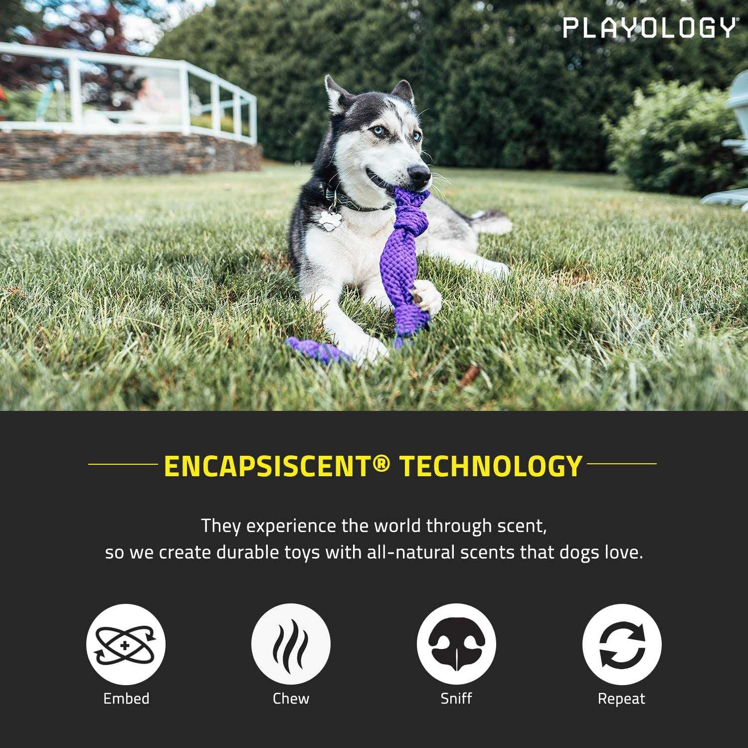 Playology Dri-Tech Dental Rope Peanut Butter Scented Dog Toy - Nail Gallerys