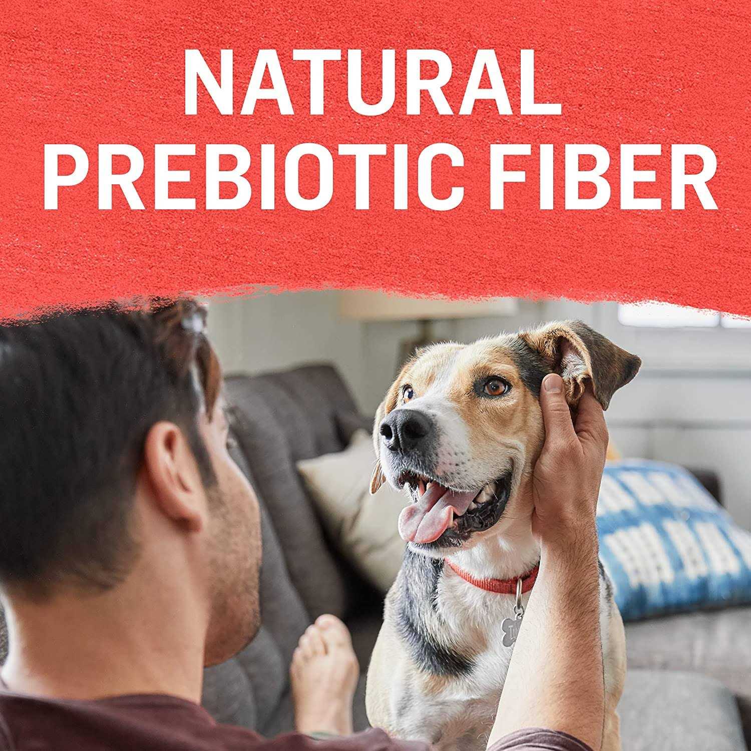 Purina Beyond Grain Free Beef Potato & Green Bean Recipe Ground Entree Adult Wet Dog Food 13 Ounce - Nail Gallerys