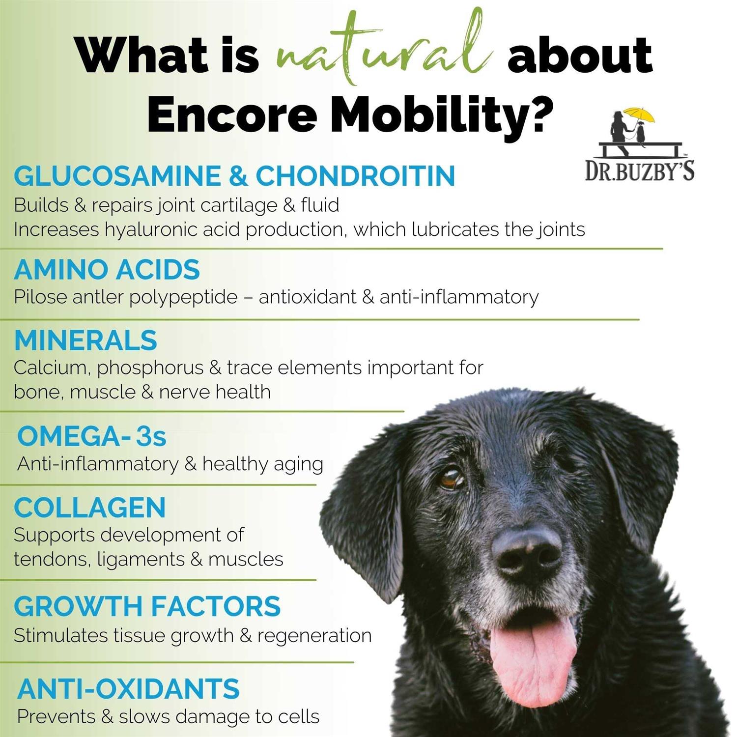 Dr. Buzby’s Encore Mobility Hip & Joint Supplement for Senior Dogs, 90 Chewable Tablets, Natural New Zealand Deer Velvet and Green Lipped Mussel - Nail Gallerys
