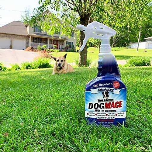 Nature’s Mace Dog Mace Dog Repellent and Training Tool - Nail Gallerys