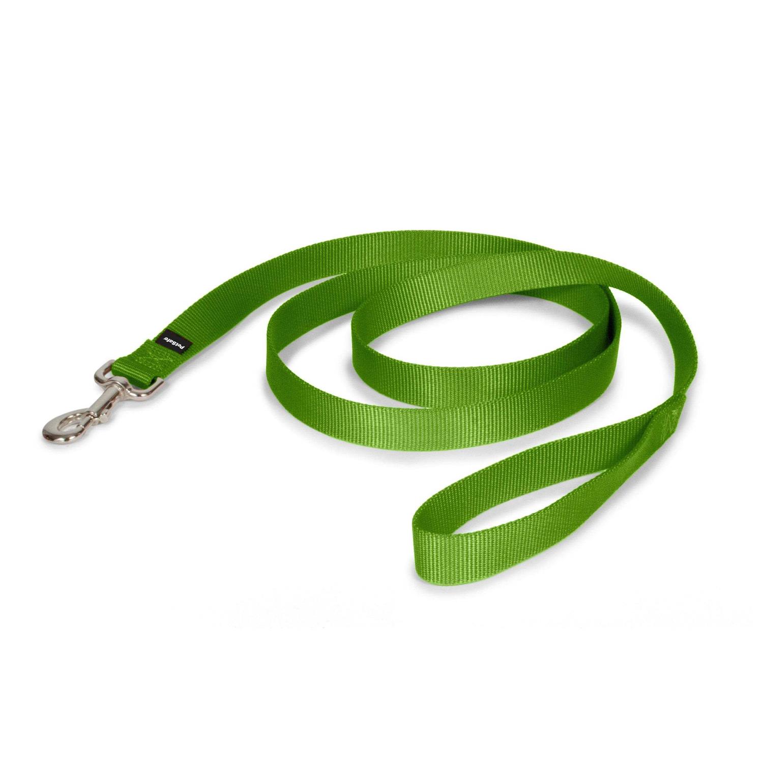 PetSafe Nylon Dog Leash - Nail Gallerys