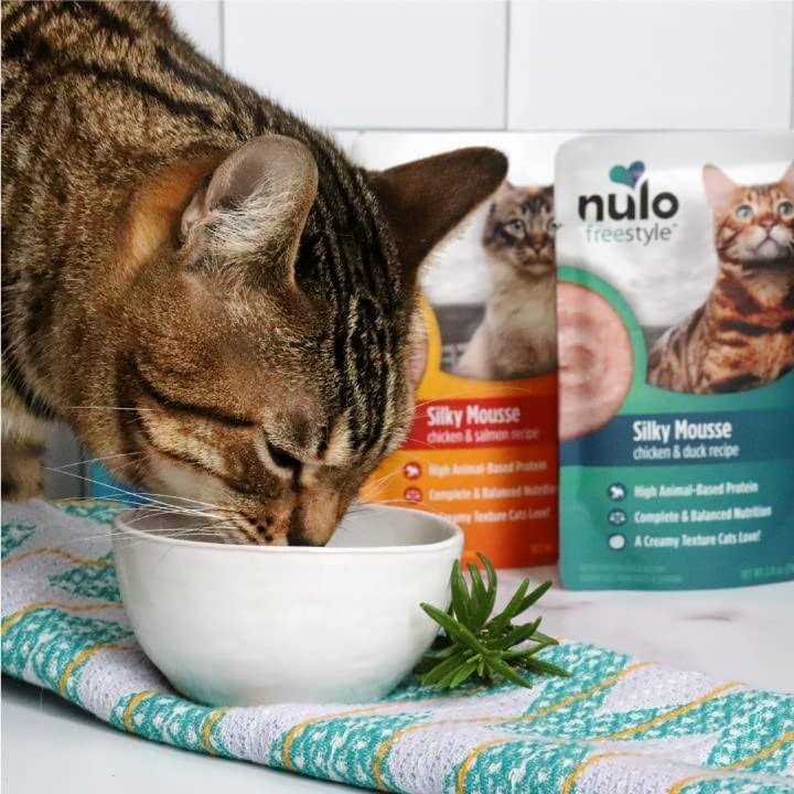 Nulo Freestyle Silky Mousse Cat Wet Food 2.8 oz / Chicken - Nail Gallerys