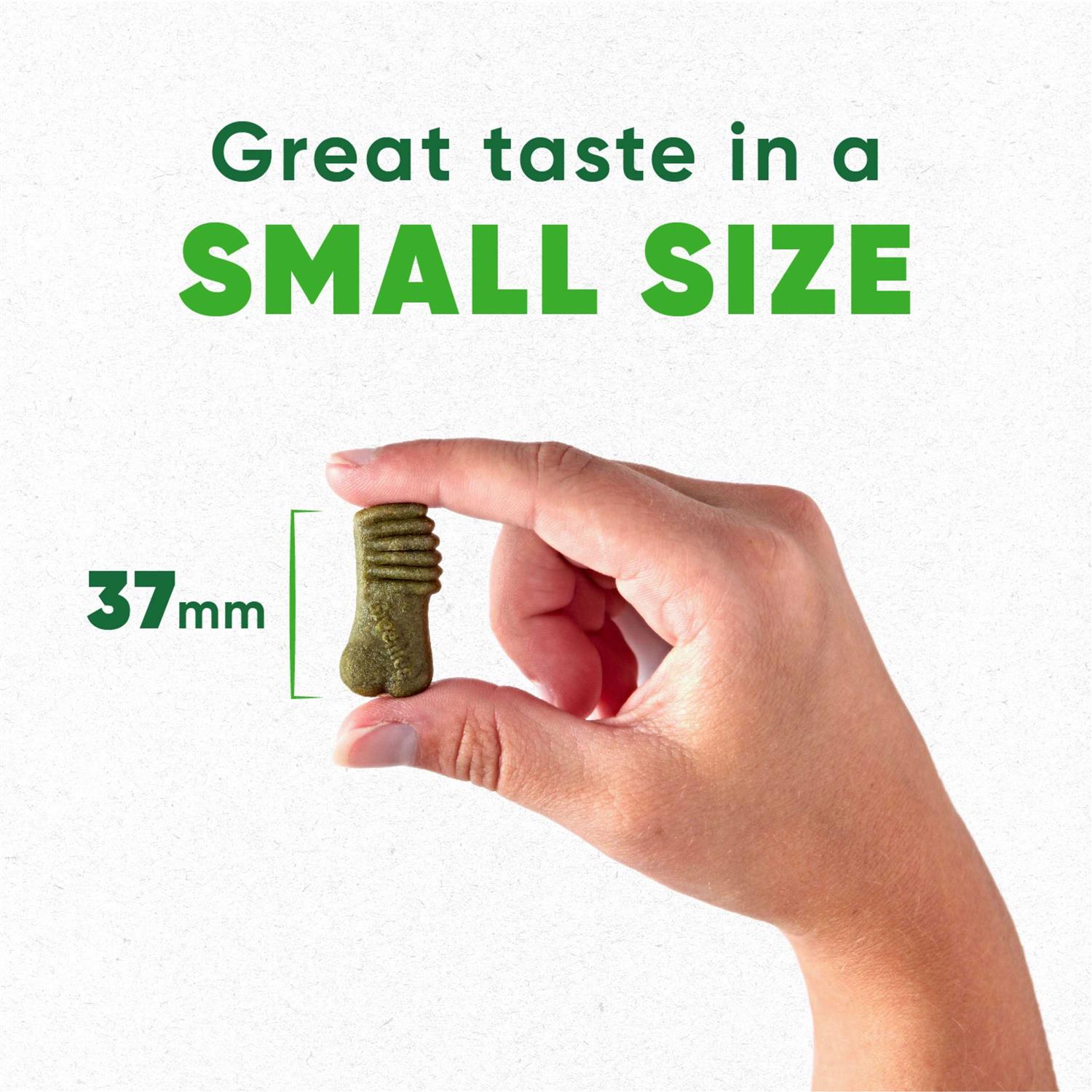 Greenies Anytime Bites Dog Treats - Nail Gallerys