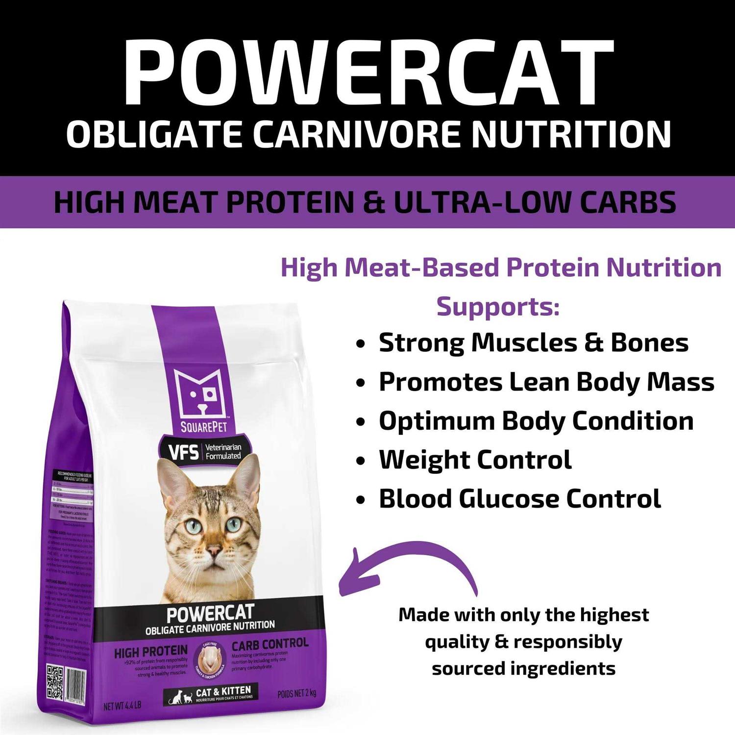 SquarePet VFS Powercat Turkey & Chicken Dry Cat Food - Nail Gallerys