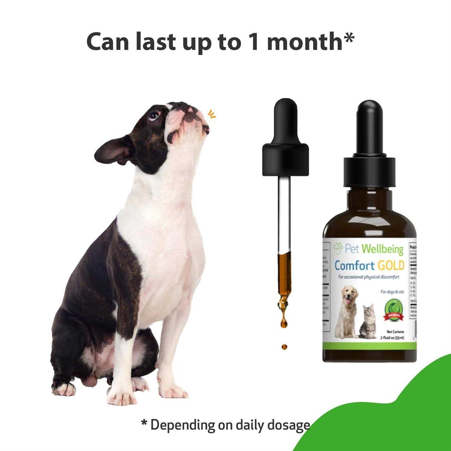 Pet Wellbeing Comfort Gold for Dogs - Nail Gallerys