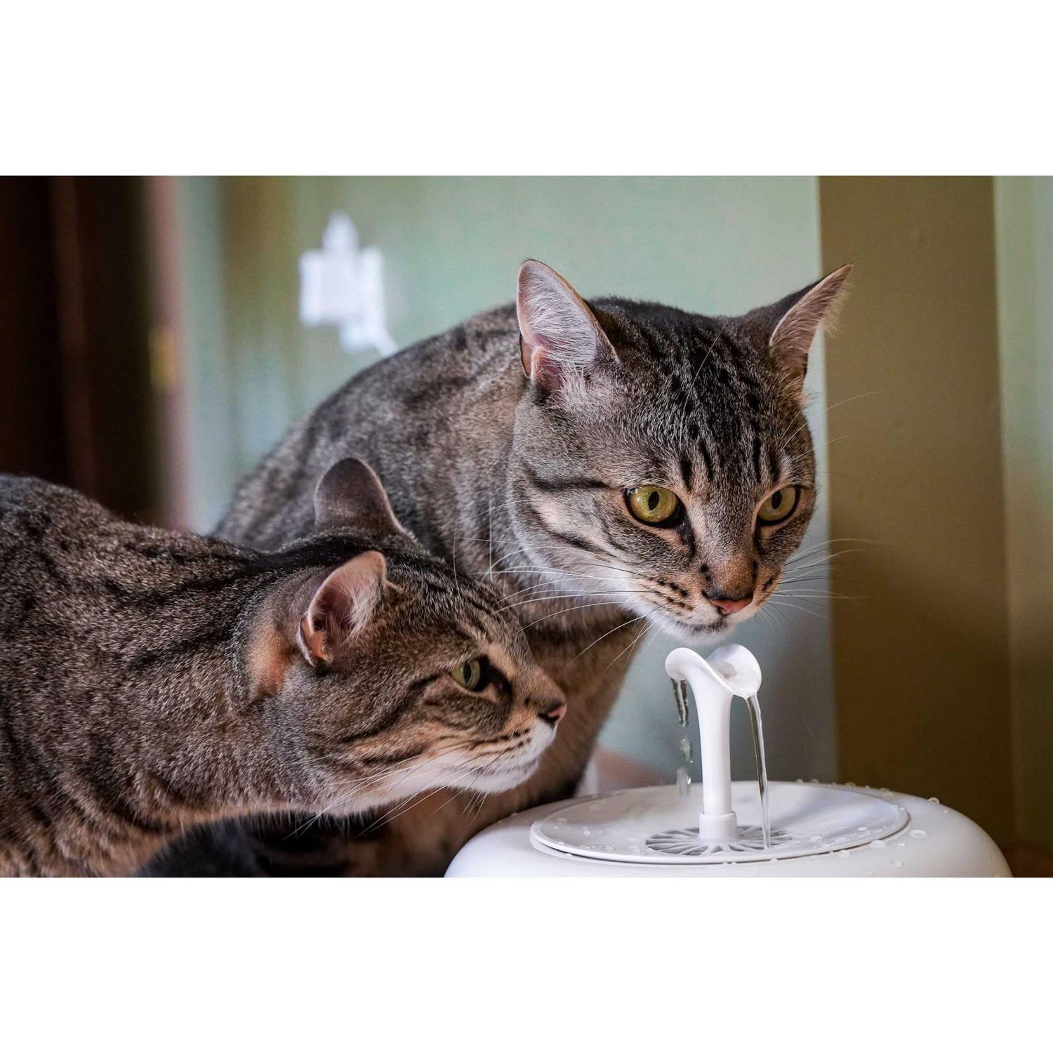 IntelliLeash PURRoducts Purrfect Water Fountain for Cats and Small Dogs with Premium 5-Layer Filter That Lasts Up To Two Months. Splash Free and Tip - Nail Gallerys