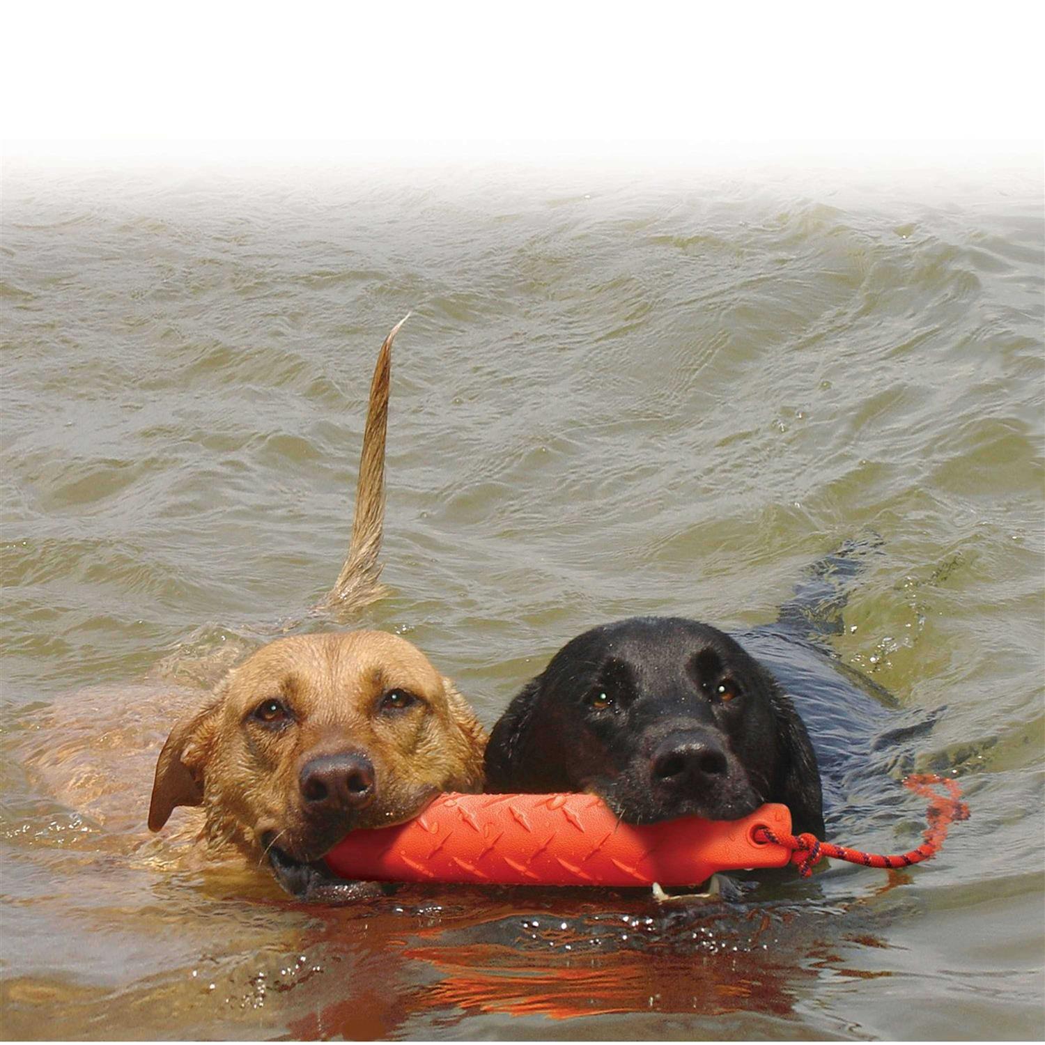 Kong Training Dummy - Nail Gallerys