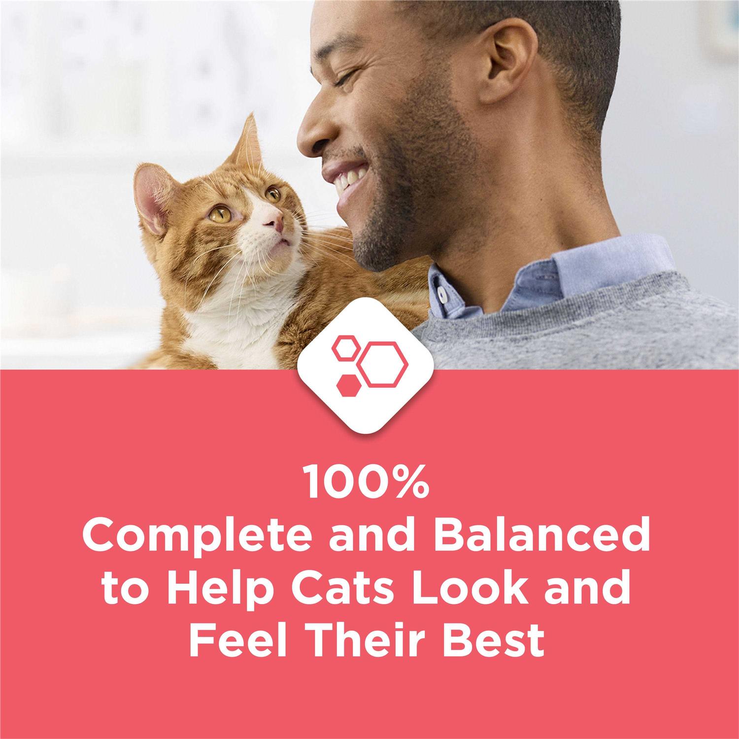 Purina Cat Chow Complete with Salmon High Protein Dry Cat Food - Nail Gallerys