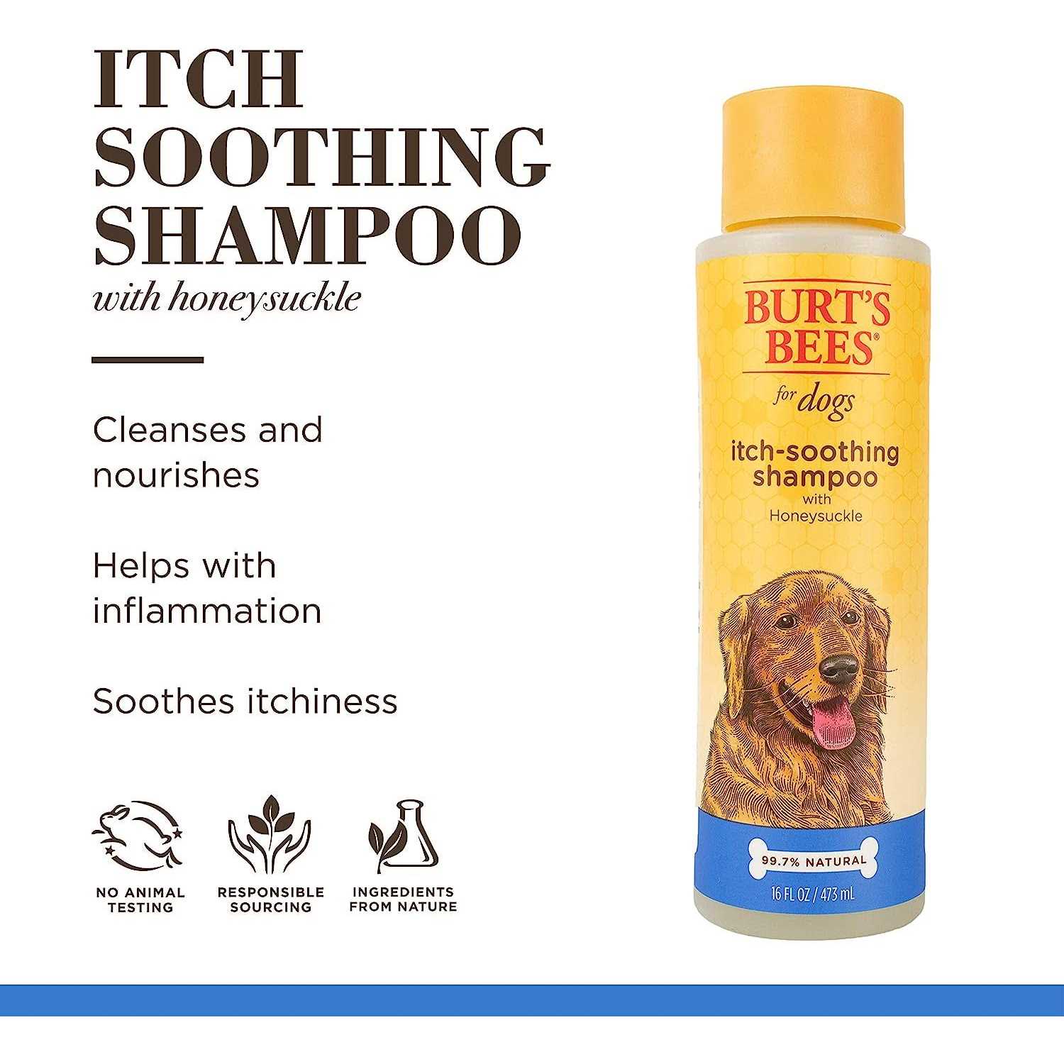 Burt’s Bees for Dogs Shampoo - Nail Gallerys