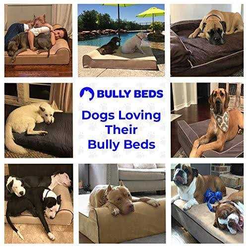 Bully Beds Bully Bed Orthopedic Waterproof Dog Beds - Nail Gallerys