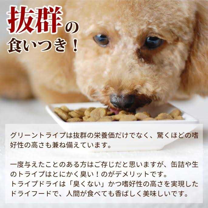 Petkind Beef Tripe Formula Dry Dog Food - Nail Gallerys