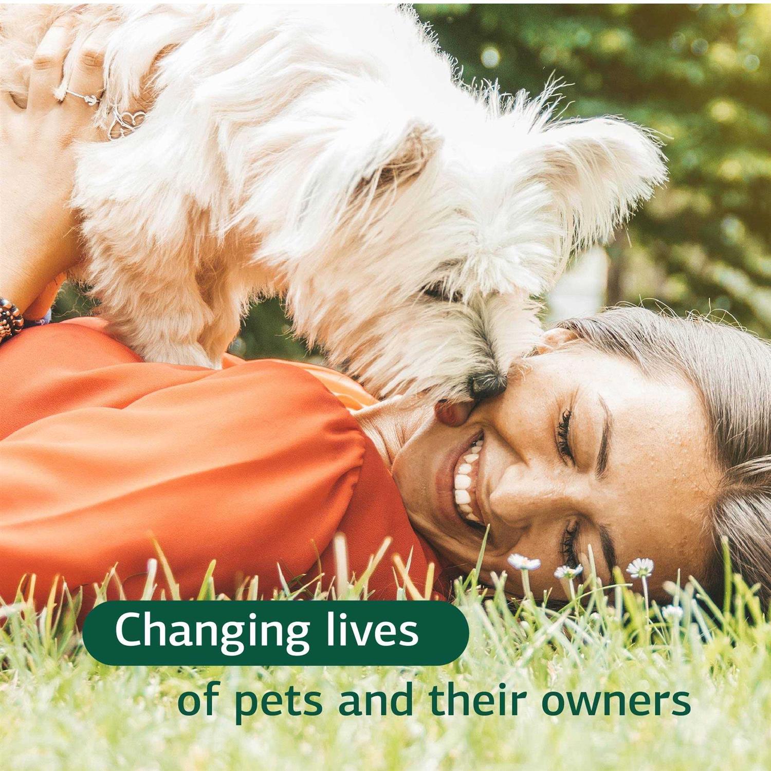 Canine Dermal Support Standard Process - Nail Gallerys