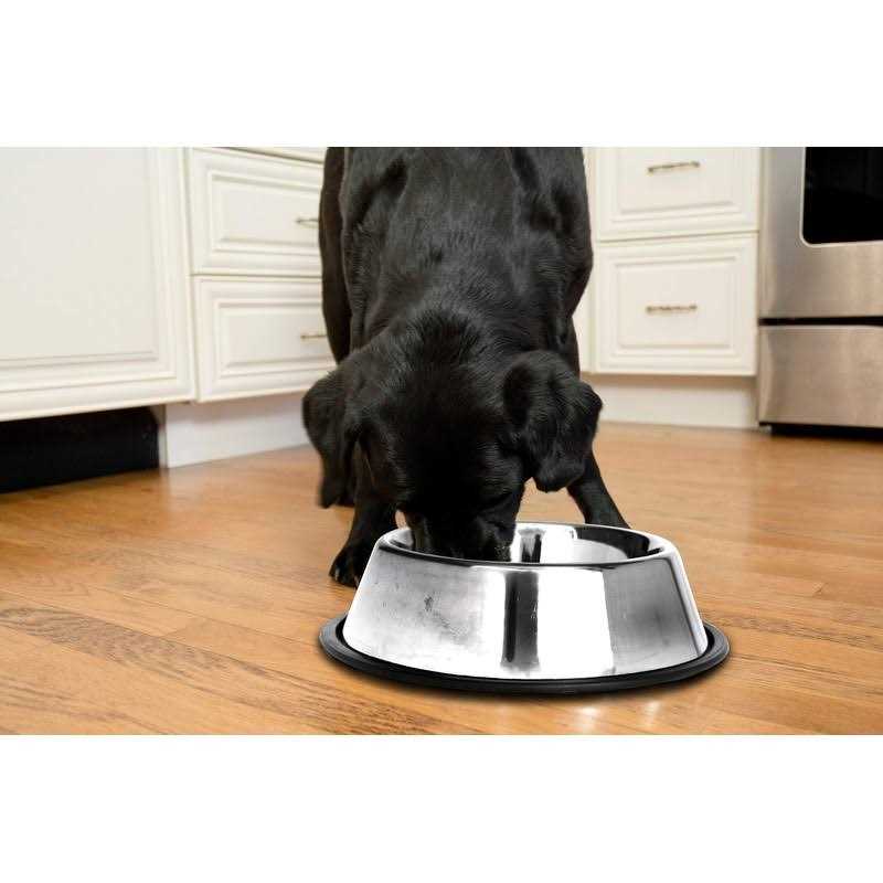 Iconic Pet 2 pack Stainless Steel Non-Skid Pet Bowl For Dog Or Cat - Nail Gallerys