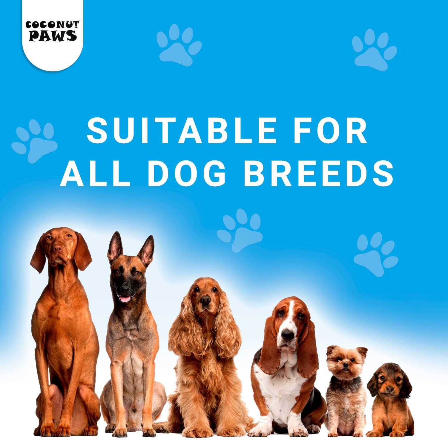 Coconut Paws Coconut Oil for Dogs Skin, Hair, Ears, Teeth, and Nails. Organic Cold Pressed unrefined Coconut Oil, Virgin Olive Oil and Sunflower Oil - Nail Gallerys