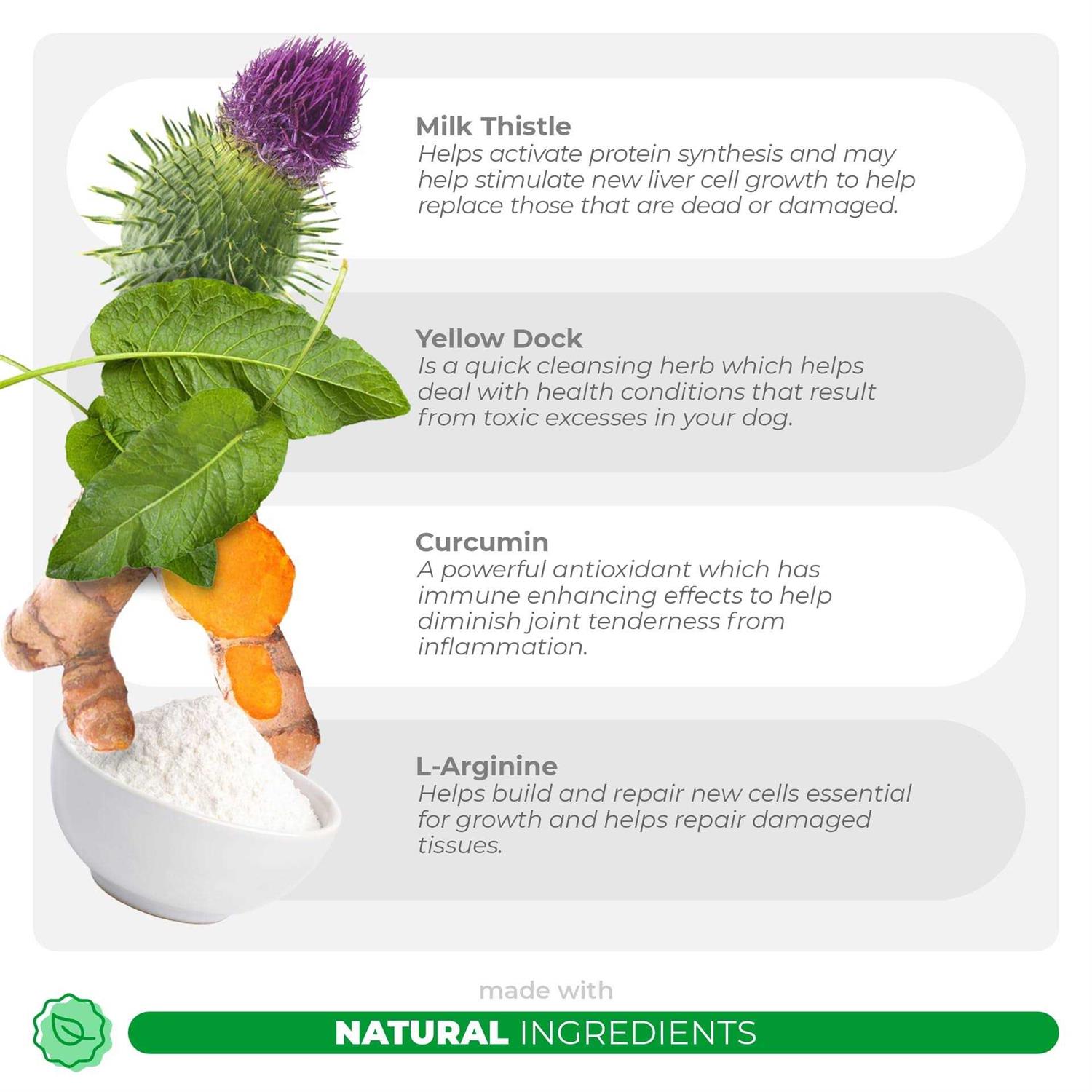 Coco and Luna Milk Thistle for Dogs 90 Soft Chews Liver and Kidney Support for Dogs - Nail Gallerys