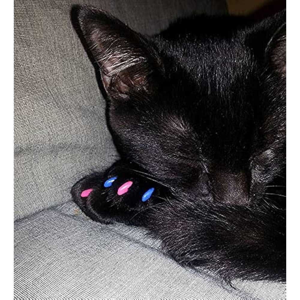Purrdy Paws Soft Nail Caps for Cat Claws - Nail Gallerys