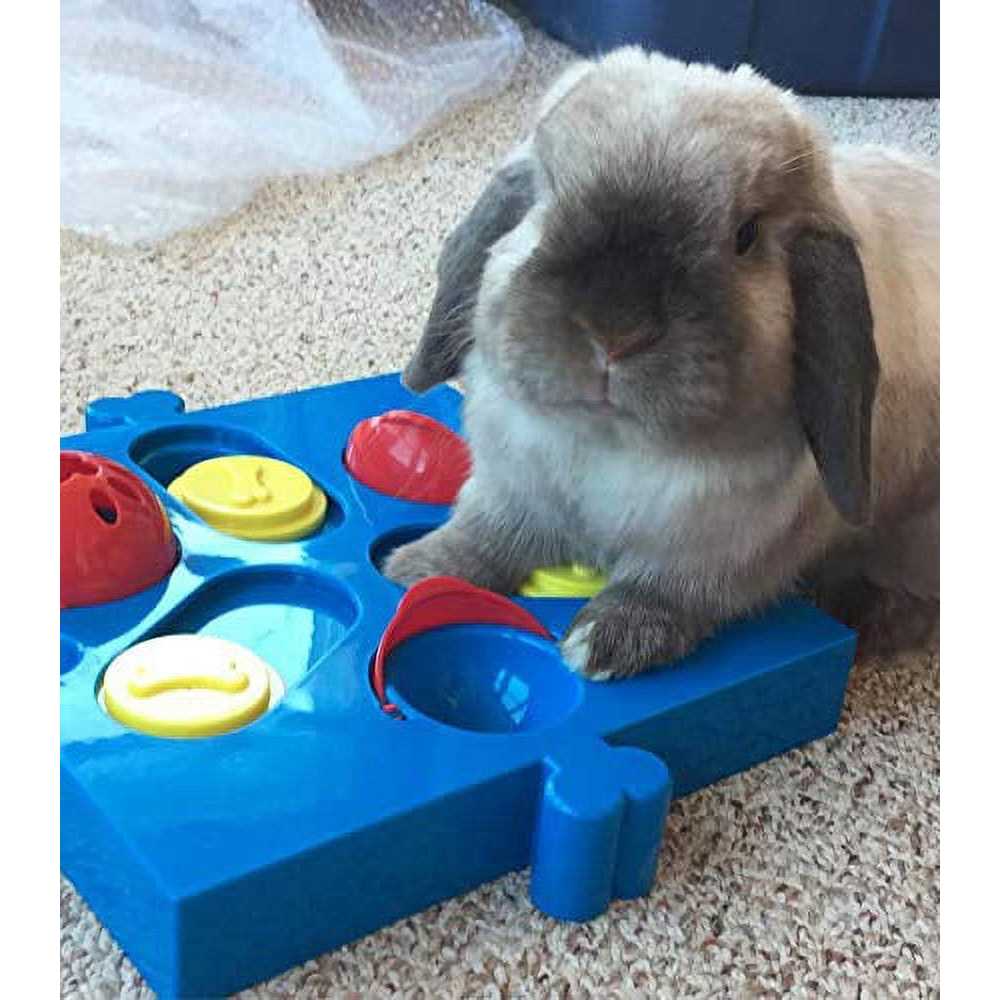 Spot Seek A Treat Flip N Slide Connector Puzzle Interactive Dog Treat and Toy Puzzle - Nail Gallerys