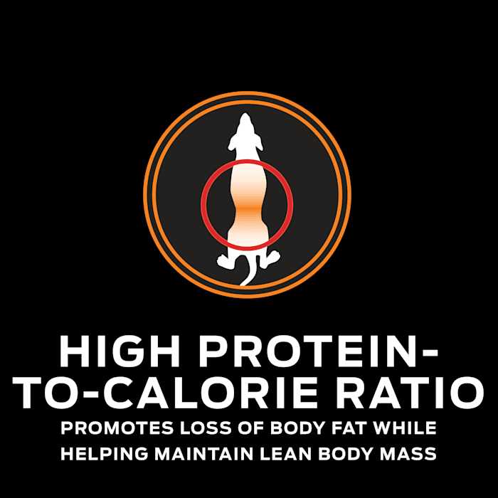 Purina Pro Plan Veterinary Diets OM Overweight Management Formula Dry Dog Food - Nail Gallerys