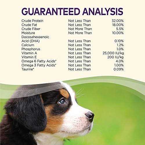 Wellness Complete Health Grain Free Puppy Deboned Chicken Chicken Meal Salmon Meal Recipe Dry Dog Food - Nail Gallerys