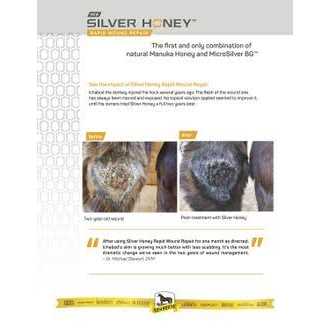 Silver Honey Rapid Skin Relief Medicated Shampoo - Nail Gallerys