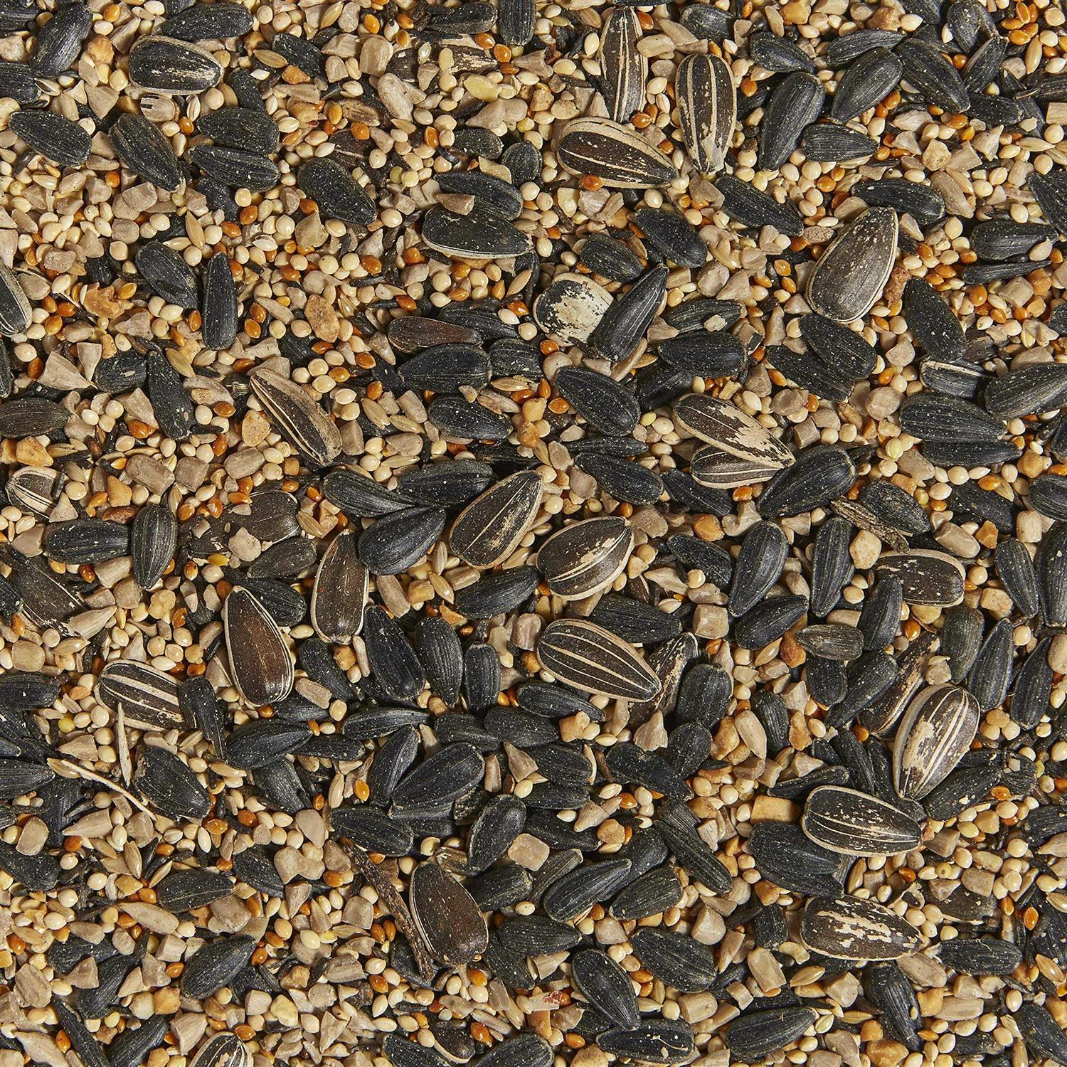 Kaytee Western Regional Blend Wild Bird Food - Nail Gallerys