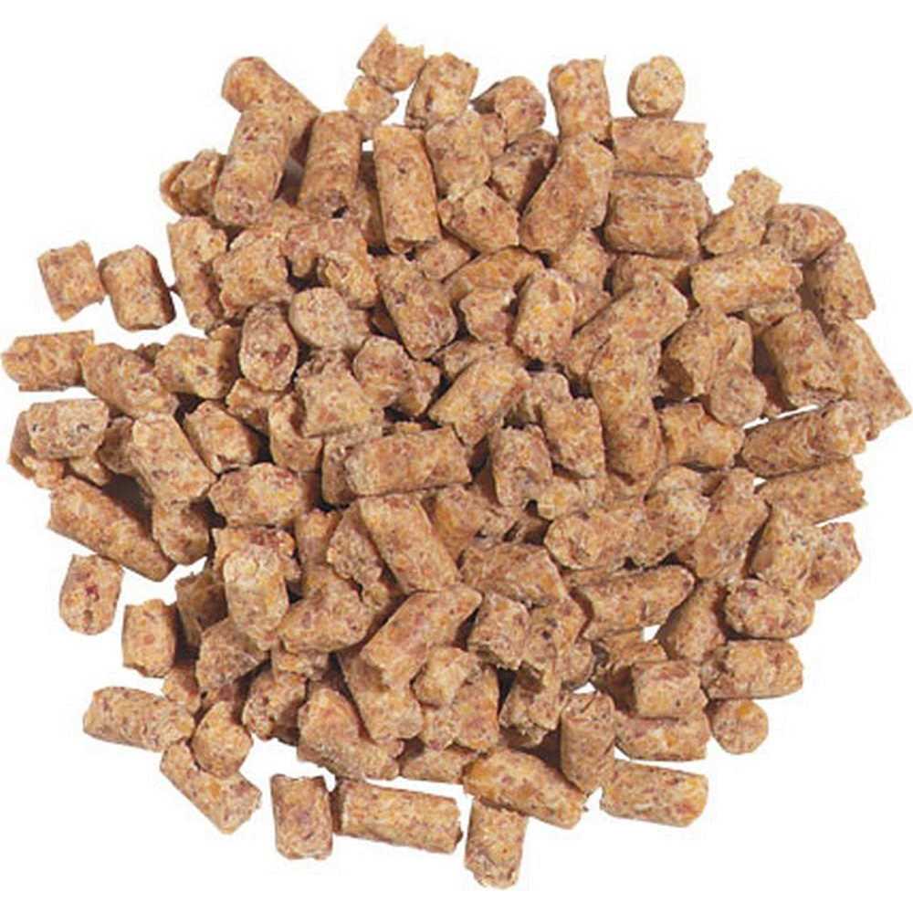 Roudybush Daily Maintenance - Nail Gallerys