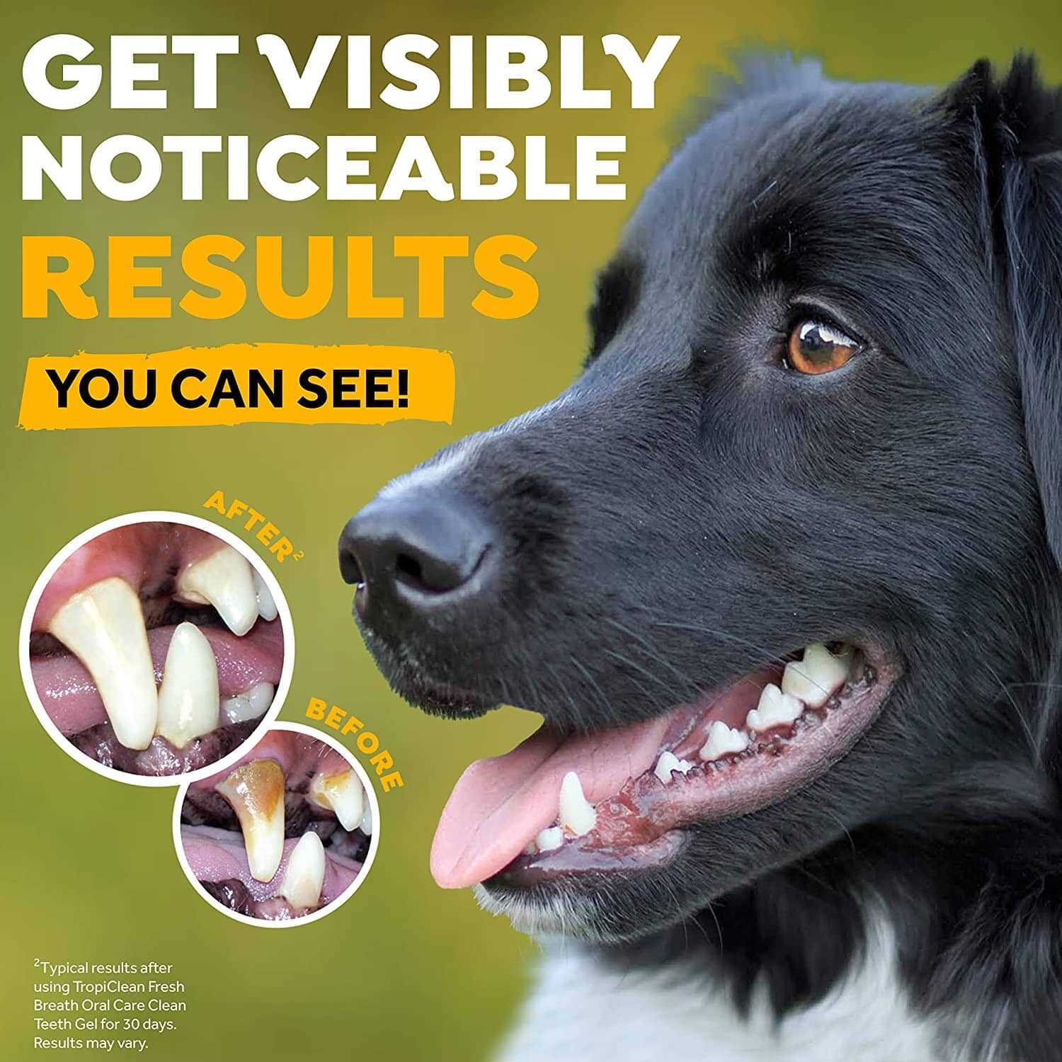 Tropiclean Fresh Breath Clean Teeth Peanut Butter Oral Care Gel - Nail Gallerys