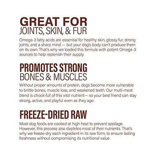 360 Pet Nutrition Freeze Dried Raw Complete Meal for Adult Dogs High Protein - Nail Gallerys