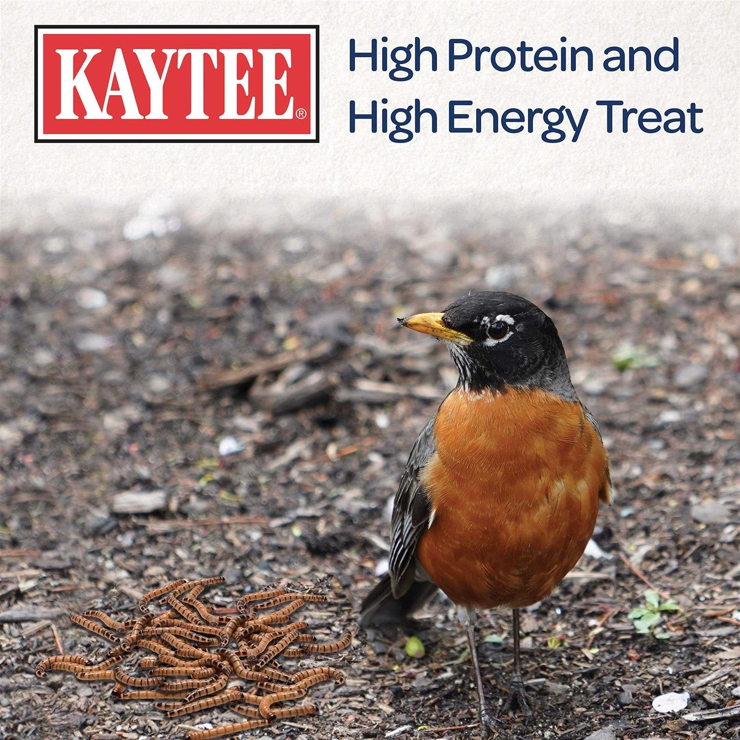 Kaytee Mealworms Bird Food - Nail Gallerys