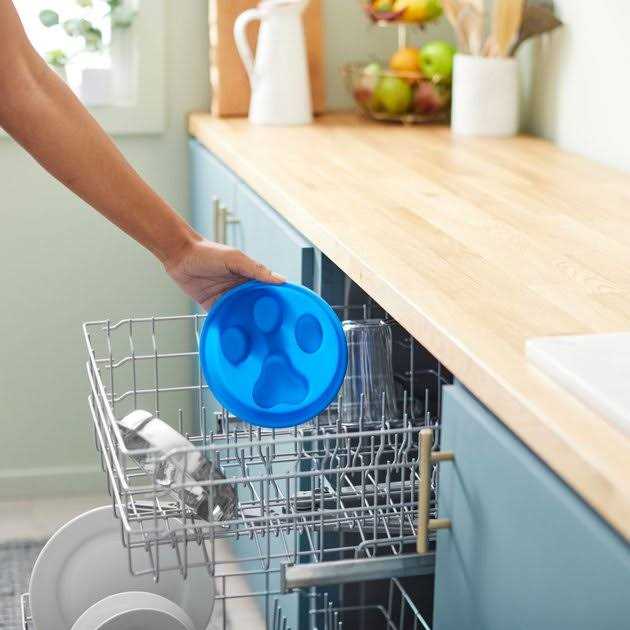 Frisco Paw Design Silicone Stainless Steel Slow Feeder Dog & Cat Bowl - Nail Gallerys