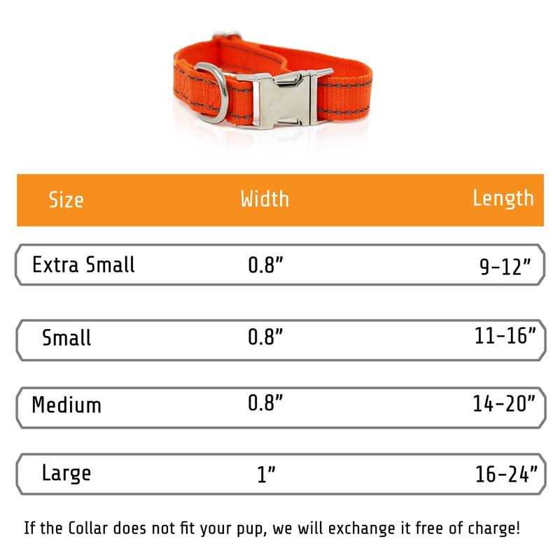 PAWBLEFY Personalized Dog Collars Collar Name and Phone Number - Nail Gallerys