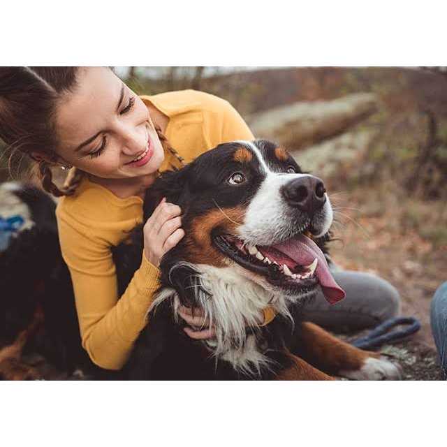 NaturVet Advanced Probiotics Enzymes - Nail Gallerys