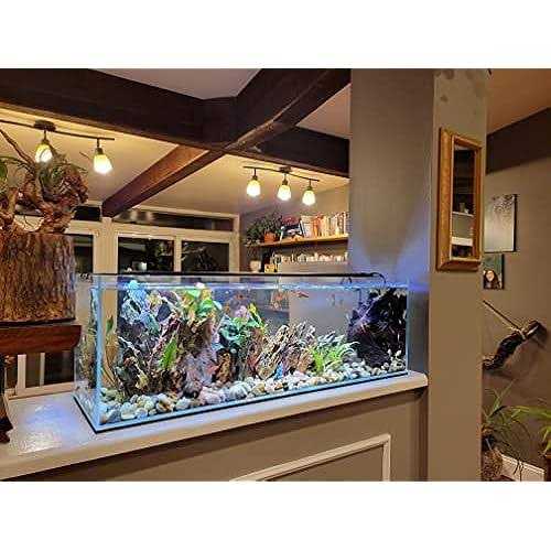 Lifegard Aquatics Long Ultra Crystal Clear Bookshelf Aquarium - Nail Gallerys