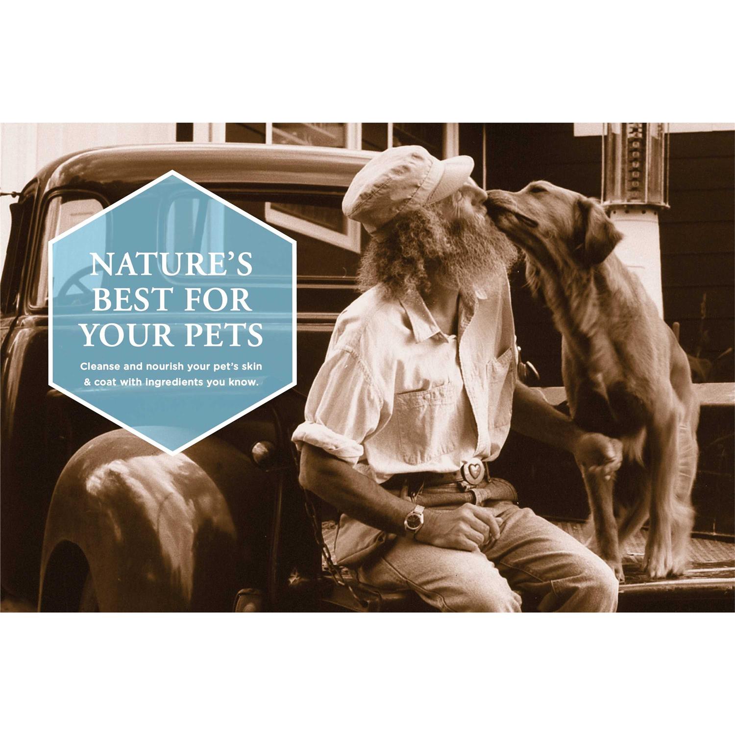 Burt’s Bees Oatmeal Dog Shampoo - Nail Gallerys